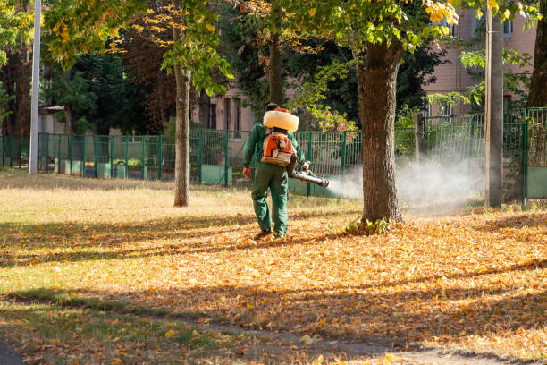 Best Local Pest Control Services  in Harrisville, WV